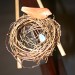 Birds Nest detail