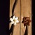 Clematis Cabinet detail 1